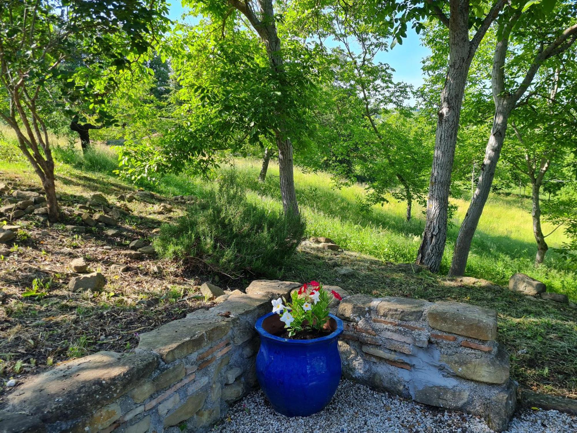 La Mela Rosa Bed & Breakfast 아만돌라 외부 사진